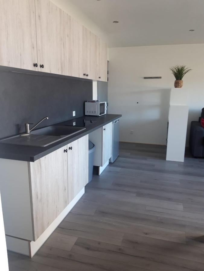 Gambetta Insolite Lägenhet Chambéry Exteriör bild